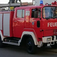TLF